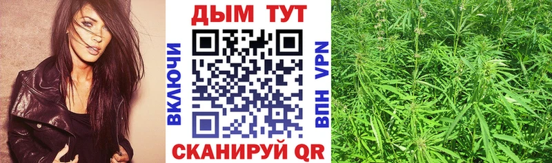 Виды наркотиков купить Курчалой Амфетамин  COCAIN  A-PVP  Меф  ГАШИШ 