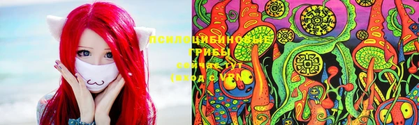 МДПВ Аркадак