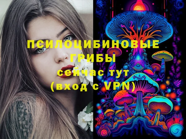 гашик Армянск