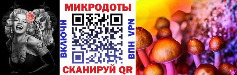 мега как войти  Курчалой  Галлюциногенные грибы GOLDEN TEACHER 