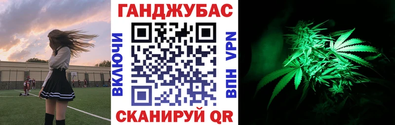 Бошки Шишки план кракен зеркало Курчалой